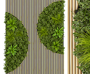 Collection plant vol 331 - ble - 3ds - c4d
