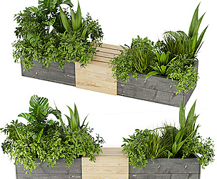 Collection plant vol 332 - ble - 3ds - c4d