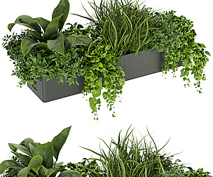 Collection plant vol 333 - ble - 3ds - c4d