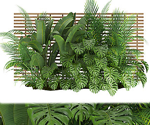 Collection plant vol 335 - ble - 3ds - c4d