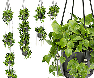 Collection plant vol 336 - ble - 3ds - c4d