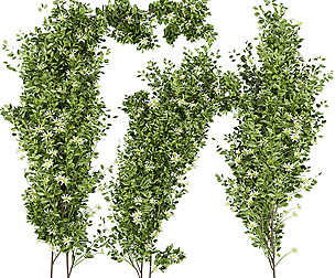 Collection plant vol 337 - ble - 3ds - c4d