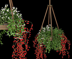 Collection plant vol 82 - free