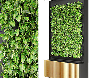 Collection plant vol 159 - free