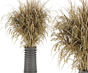 Collection plant vol 174 - free