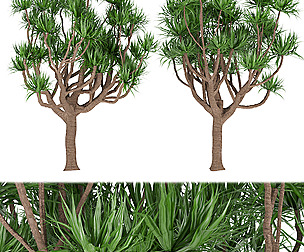 Collection plant vol 183 - free