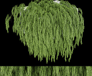 Collection plant vol 184 - free