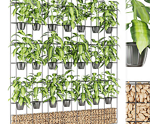 Collection plant vol 191 - free