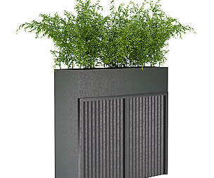 Collection plant vol 193 - free