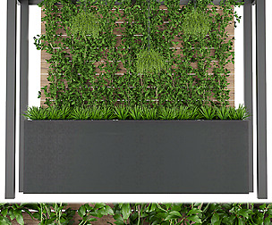 Collection plant vol 209 - free