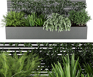 Collection plant vol 212 - free