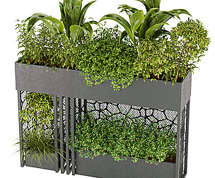 Collection plant vol 241 - free - ble - 3ds - c4d