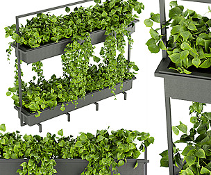 Collection plant vol 338 - ble - 3ds - c4d