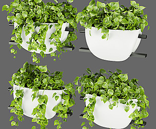 Collection plant vol 343 - ble - 3ds - c4d