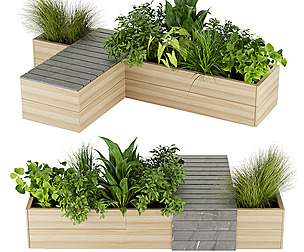 Collection plant vol 350 - ble - 3ds - c4d