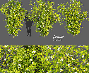 Collection plant vol 358 - ble - 3ds - c4d