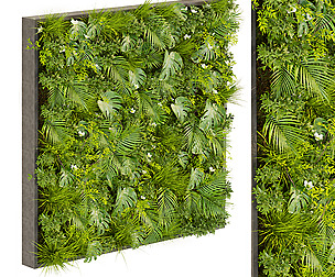 Collection plant vol 359 - ble - 3ds - c4d