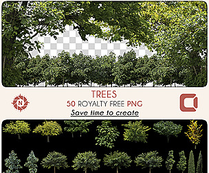 PNG Photo Pack - Trees