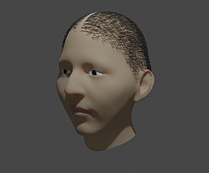 character face model cycles blender 3D