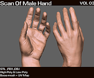 3D Scan Real Male Hand VOL 03