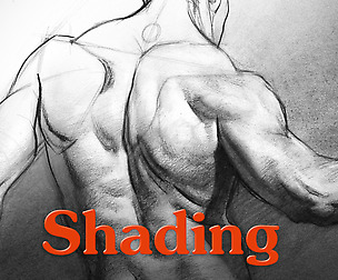 Shading a Drawing