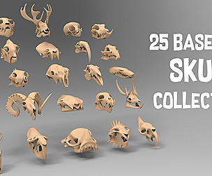 25 basemesh skull collection