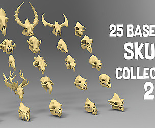 25 basemesh skull collection 2
