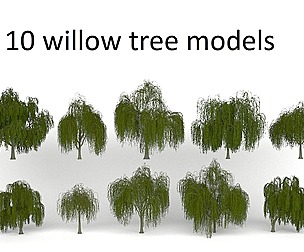 10 willow tree models