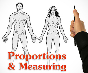 Human Proportions and Measuring