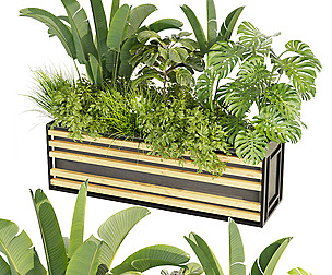 Collection plant vol 361 - ble - 3ds - c4d