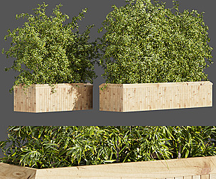 Collection plant vol 362 - ble - 3ds - c4d