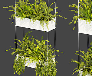 Collection plant vol 363 - ble - 3ds - c4d