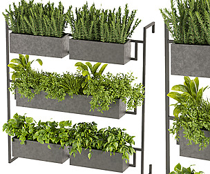 Collection plant vol 364 - ble - 3ds - c4d