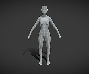 Female Body Base Mesh 3D Model