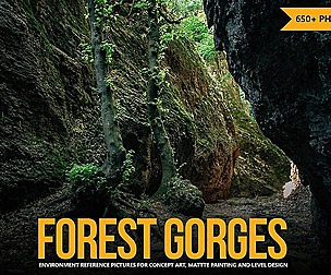 650+ Forest Gorges Reference Pictures