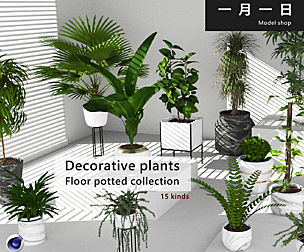 Decorative plants floor potted collection