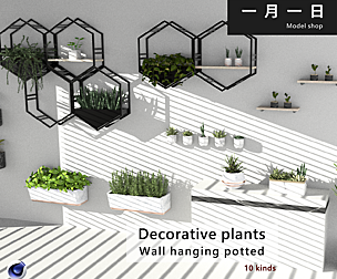 Decorative Plants Wall hanging potted