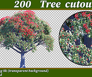 tree cutout png 4k & psd vol02