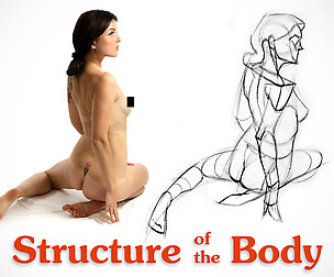 Mannequinization - Structure of the Human Body