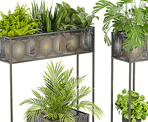 Collection plant vol 375 - ble - 3ds - c4d