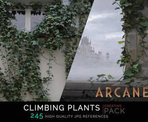 Climbing Plants CREATIVE PACK