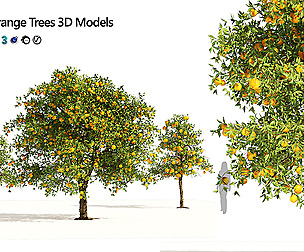 Orange fruit tree