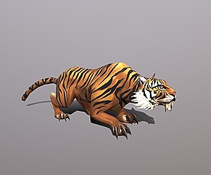 Bengal Tiger
