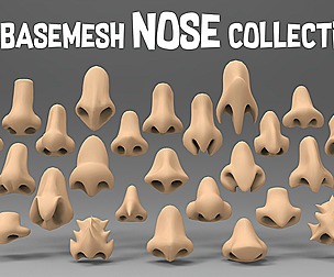 25 basemesh nose collection