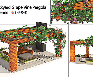 Grape Vine Pergola with furniture