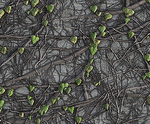 Substance English Ivy Wall