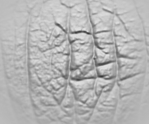 20 Human Skin Alphas Pack