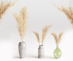 pampas set Vol 1