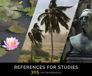 References for Studies