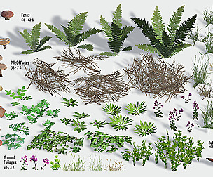 Garden Foliage from Forest